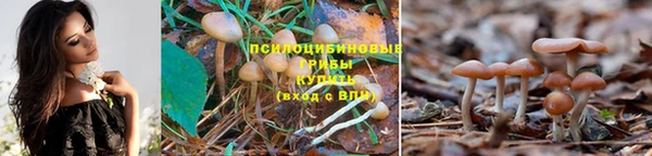 молекула духа Магас