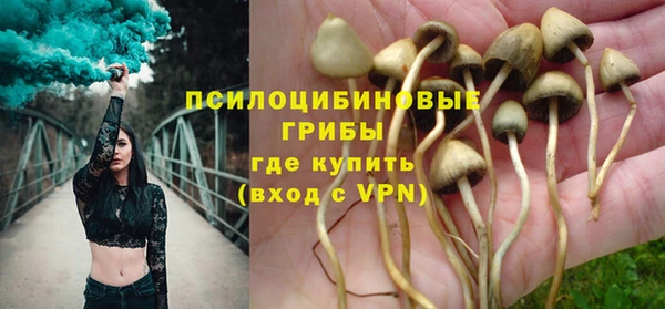 дурь Аркадак