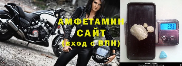 СК Алексин