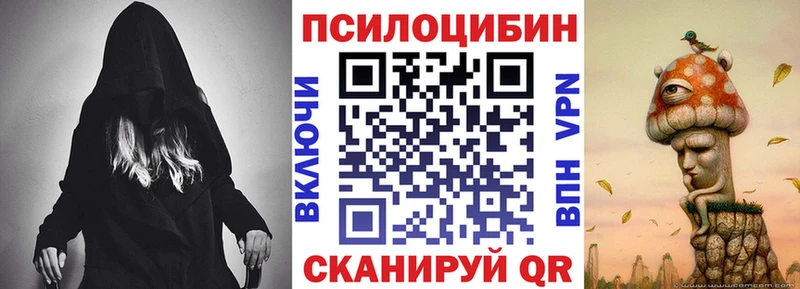 Псилоцибиновые грибы Psilocybe Сухой Лог